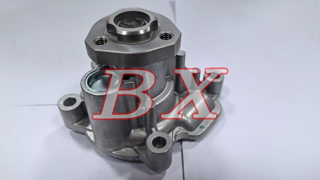 BYD476ZQA1307100